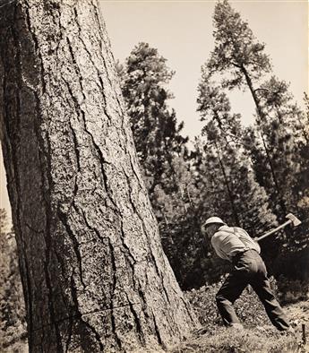 BERENICE ABBOTT (1898-1991) View of Logger using a McGiffert Log Loader, CA * View of Logger Preparing to cut, CA, (Pair).